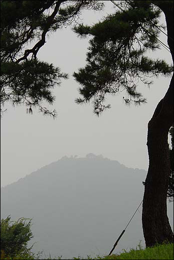 소나무 사이로 곰이 살았던 여미산이 보인다. 